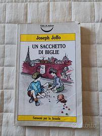 Libro edizione scolastica un sacchetto di biglie 