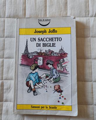 Libro edizione scolastica un sacchetto di biglie 