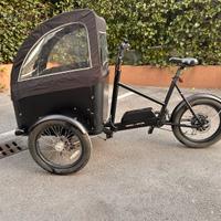 Cargo bike Bici Cargo Elettrica Con Cassone 2 post