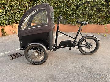 Cargo bike Bici Cargo Elettrica Con Cassone 2 post