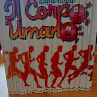 Esplorando il corpo umano 