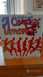 Esplorando il corpo umano 