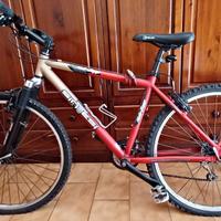 Mountain bike Sintesi hale bopp