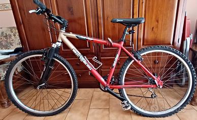 Mountain bike Sintesi hale bopp