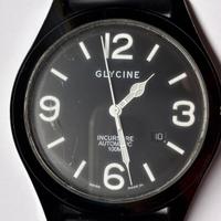 Glycine incursore