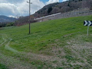 Terreno prato