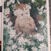 Puzzle 500 pezzi 