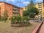 Immagine 29