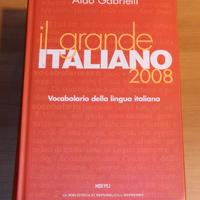 Il grande Italiano 2008 – Aldo Gabrielli, Hoepli