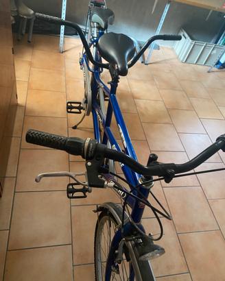 Tandem Stucchi