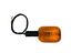 Immagine 8