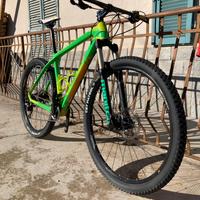 MTB Wilier Triestina Carbonio XT