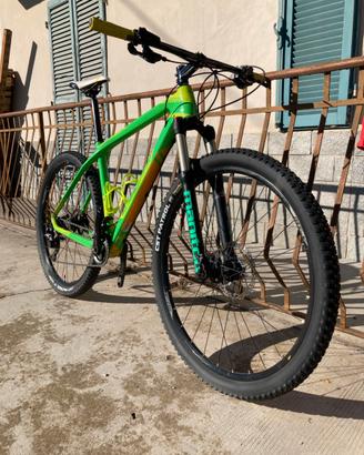 MTB Wilier Triestina Carbonio XT