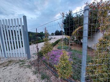 Torre Lapillo zona Bacino Grande Terreno