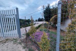 Torre Lapillo zona Bacino Grande Terreno