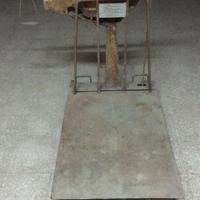 Bilancia Bascula datata