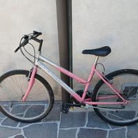 Bicicletta mountain bike