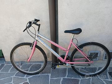 Bicicletta mountain bike