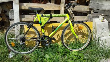 Bicicletta F. moser da corsa