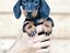 Immagine 1