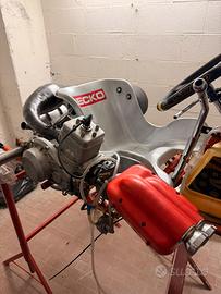 go kart intrepid 125 2t motore pavesi