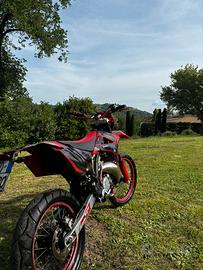 Gas Gas ec 125