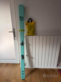 Black crows mentis freebird