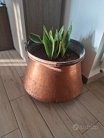 conca grande in rame battuto d'epoca 