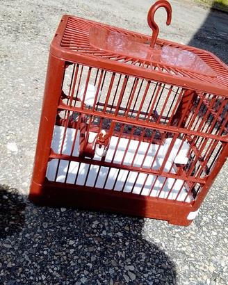 Gabbia per uccellini