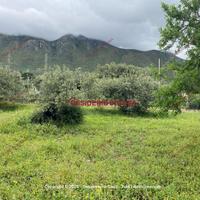 Terreno, Termini Imerese.