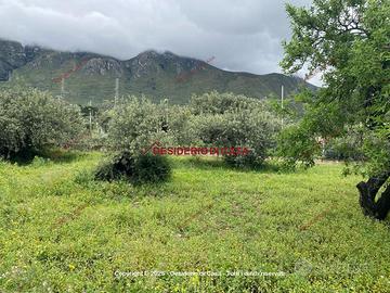 Terreno, Termini Imerese.