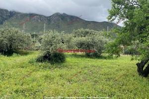 Terreno, Termini Imerese.