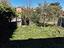 Immagine 15