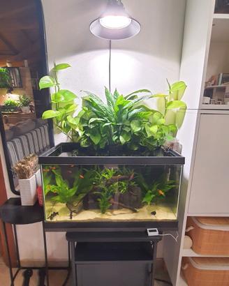 acquario completo 