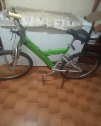 bicicletta uomo  donna  ragazzo 