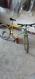 montain bike bici hobby corsa sport city tempo lib