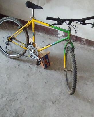 montain bike bici hobby corsa sport city tempo lib