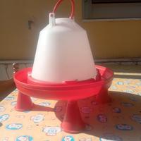 abbeveratoio galline