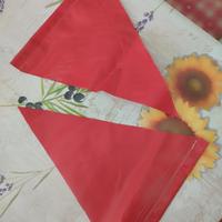 bandierine lama neve 