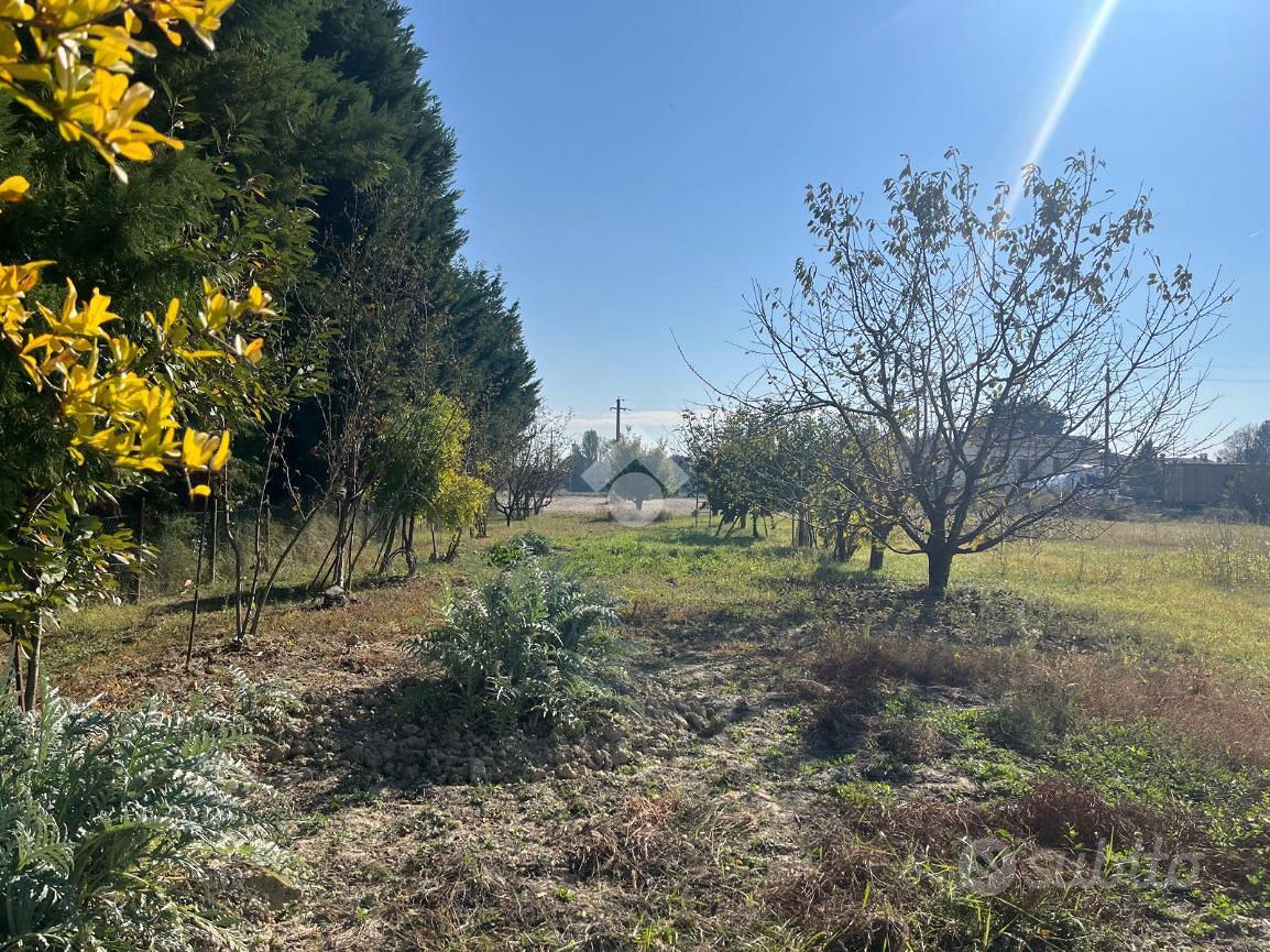 TER. AGRICOLO A RAVENNA - Vista 2