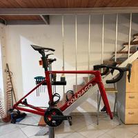Bici da corsa colnago v4