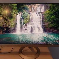 ASUS Monitor 27 Quad HD 2k VZ27AQ Come Nuovo