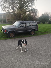 Cherokee xj 2.1 diesel