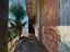 Immagine 18