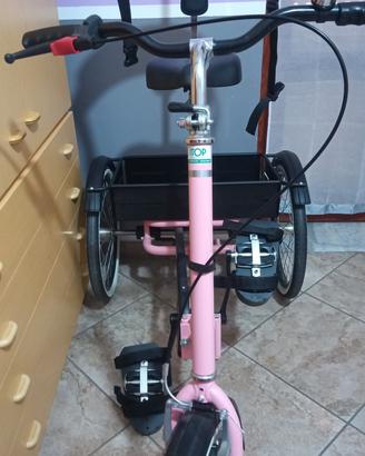 Bicicletta