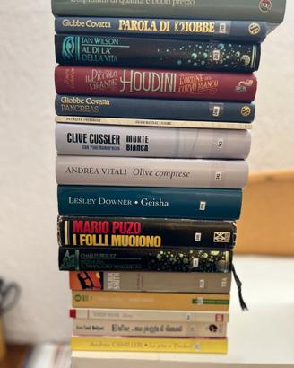 Lotto 17 libri narrativa e romanzi
