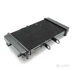 Radiatore acqua fantic caballero 125