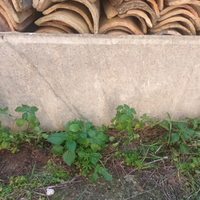 Lastra in marmo bianco