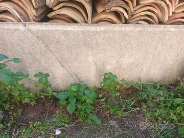 Lastra in marmo bianco