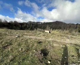 Terreni agricoli a Mammola (RC)